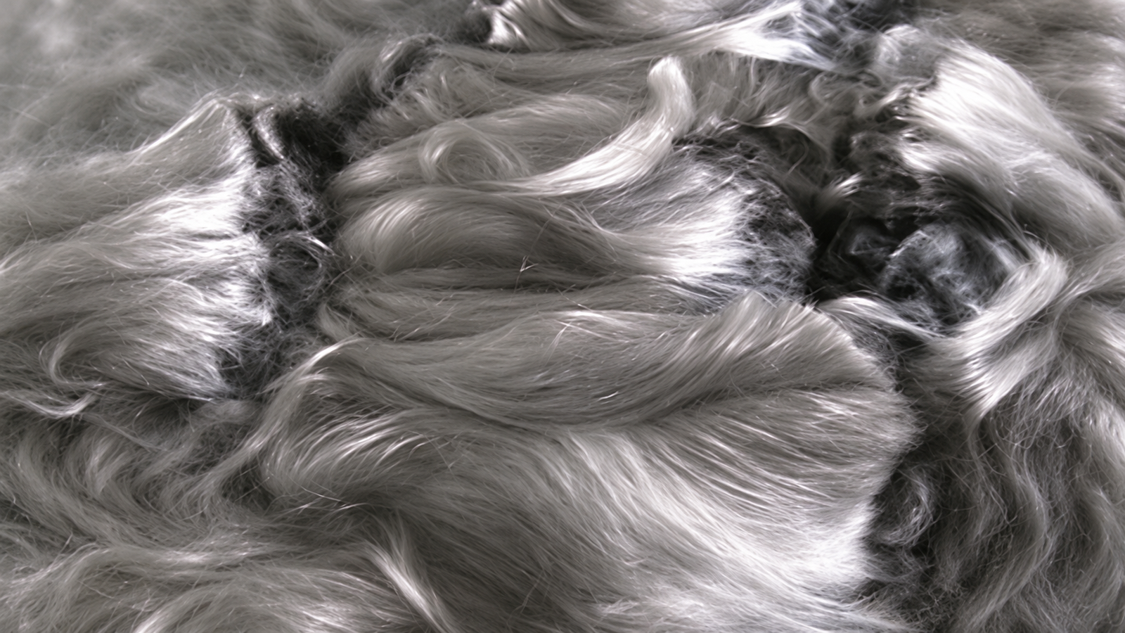 Close view of metal fibers prepared for sintered metal fiber felt manufacturing